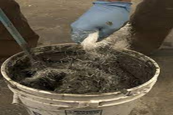 photo 2025 06 14 16 35 11